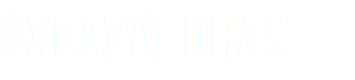 EXCAVADORAS