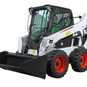 Bobcat